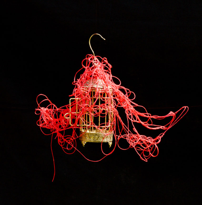 Photographie de cage à oiseau qui vole sur fond noir avec fil rouge