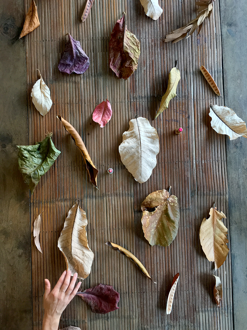 feuilles embrassés sur une table